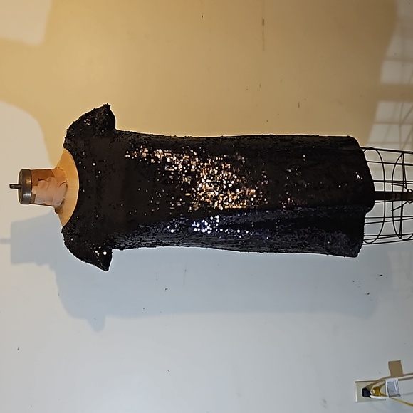 Sequins anyone?   Darling NWT Banana Republic size 4 dress - Picture 6 of 13